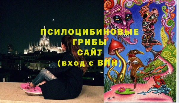 твердый Киреевск